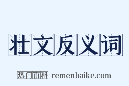 壮文反义词是什么意思的图片